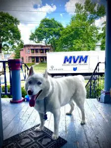 Dog on the front porch getting ready to move with an MVM Moving truck out front