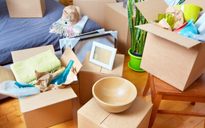 A Guide to Packing for Your Move