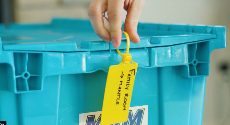 blue bin rental
